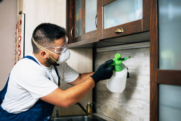 Best Cockroach Control Services  in Robinson, IL