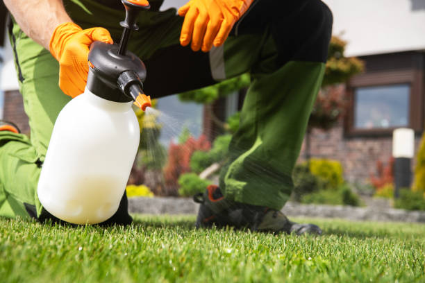 Best Flea Control Services  in Robinson, IL