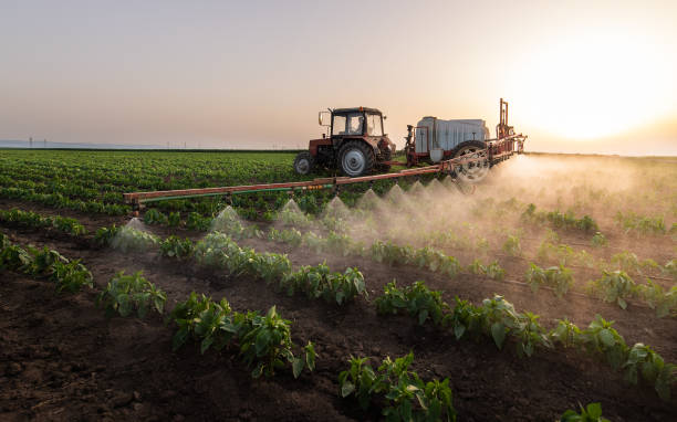 Best Pest Prevention Services  in Robinson, IL