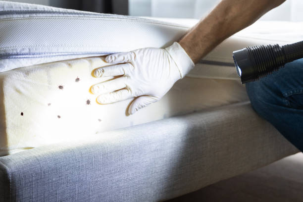 Best Exterminator Services  in Robinson, IL